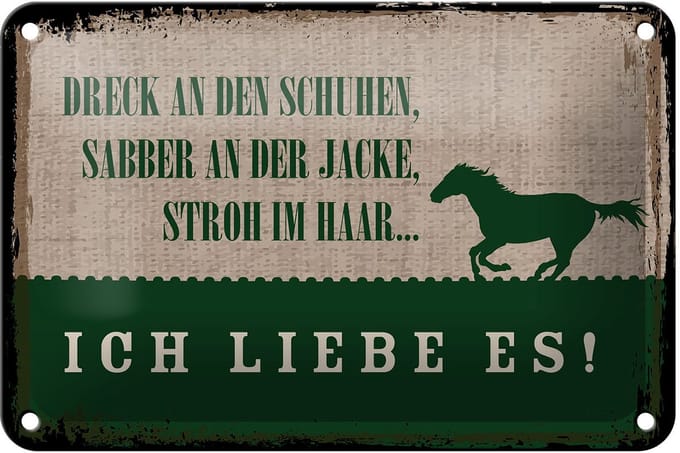 Blechschild Spruch 12x18 cm Stroh im Haar Ich liebe es Pferd Deko Schild