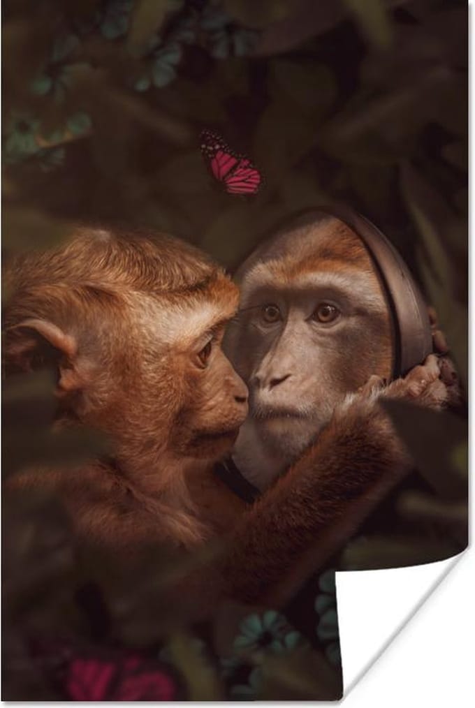 Poster Aap - Spiegel - Jungle - 40x60 cm