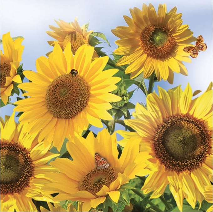 Daisy lunch/diner servetten - 20x st - 33 x 33 cm - zonnebloemen - feestservetten