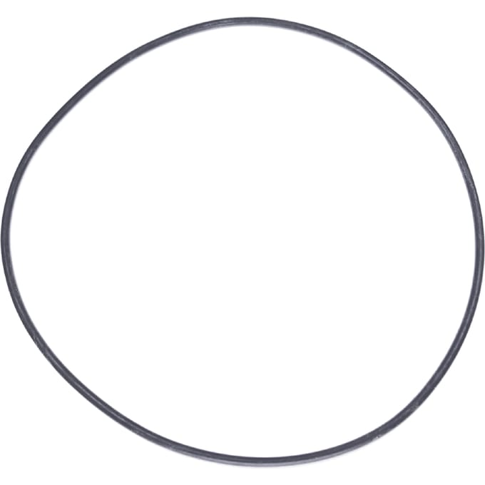 O-ring 123x3