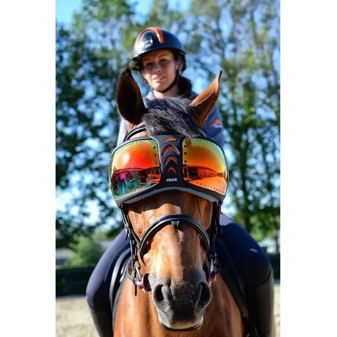 Paardenbril eQuick eVysor