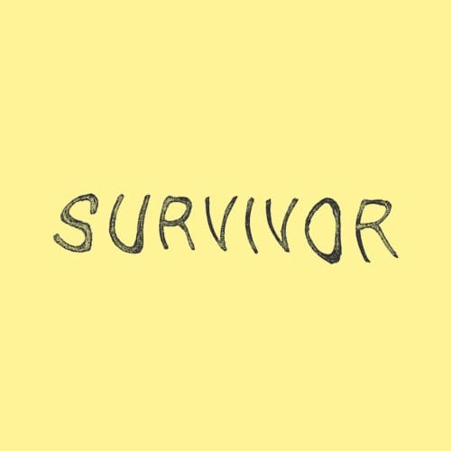 Survivor (Destiny's Child Cover) - Jan Verstraeten