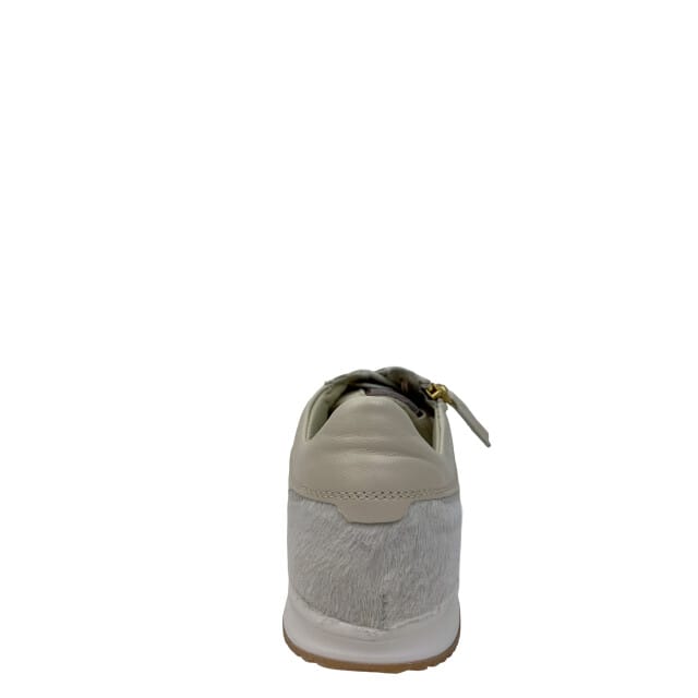 DL Sport 6953