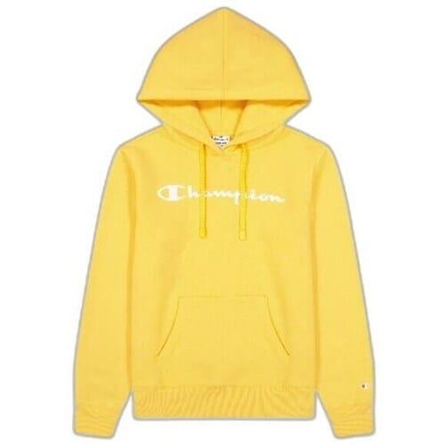 Capuchon sweaters Champion Legacy
