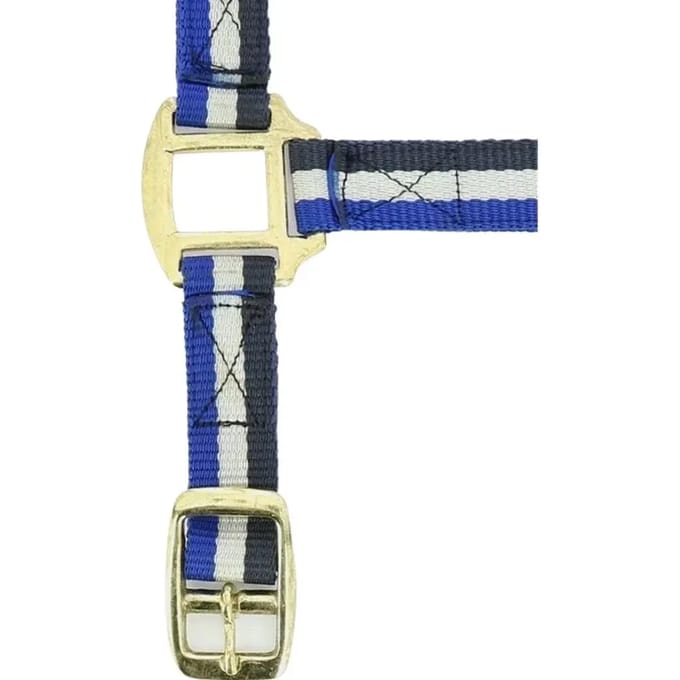 Halster voor paarden Norton Doublé cuir