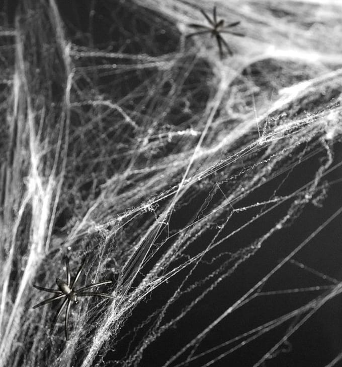 Spinnenweb decoratie - wit - met 2 spinnen - Halloween versiering - spinnenwebben - horror versiering