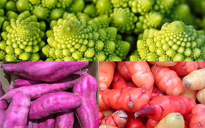 Exotische groenten set van 6 zaden