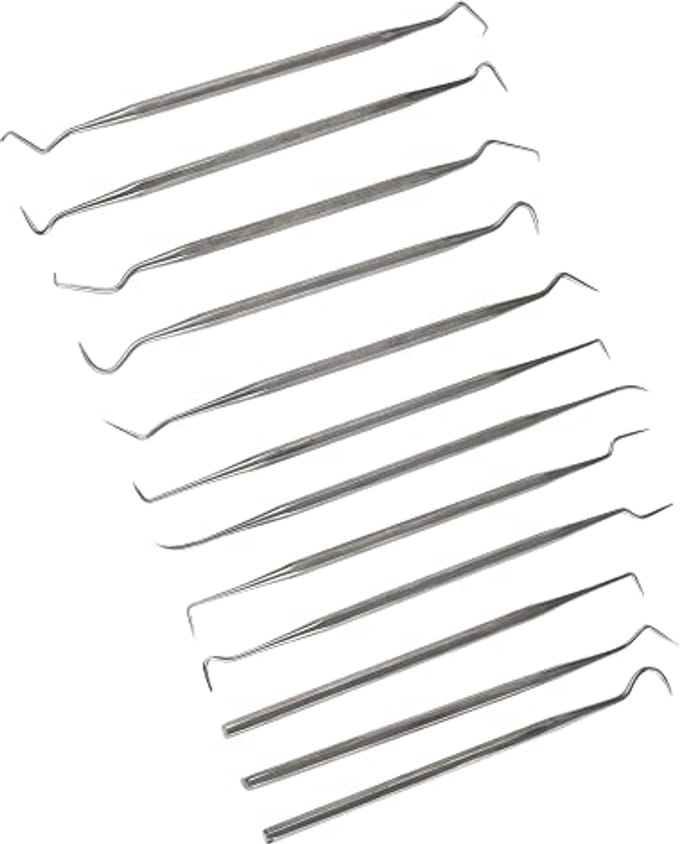 12-delige RVS sonde Set
