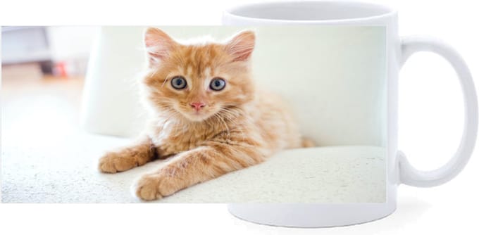 Beker - Rode Kitten