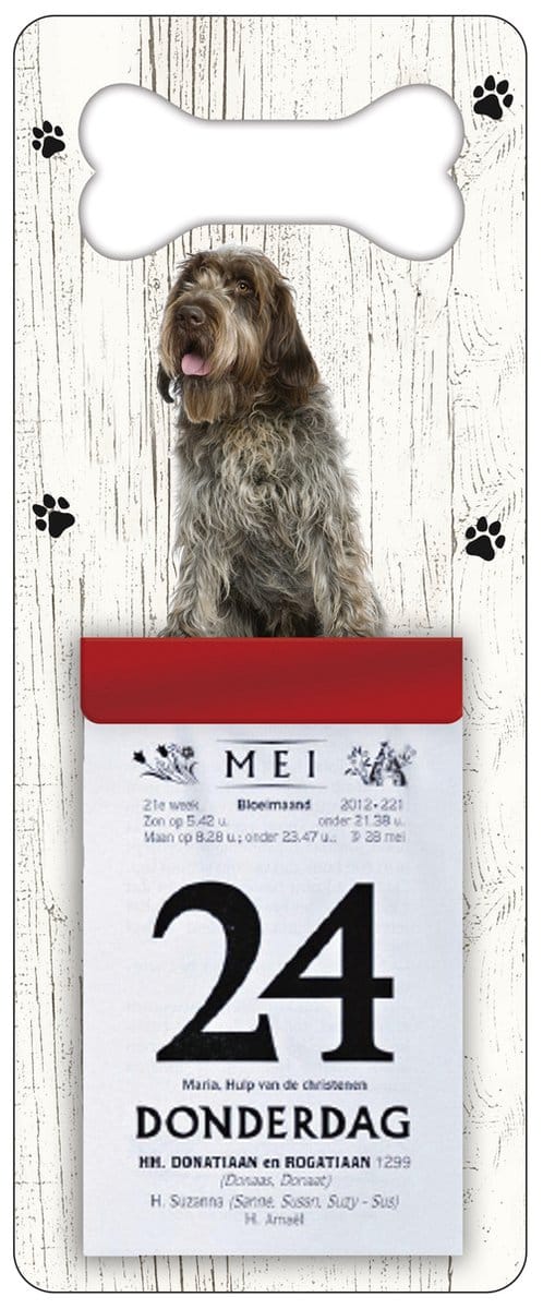 Scheurkalender 2027 Hond: Korthals Griffon