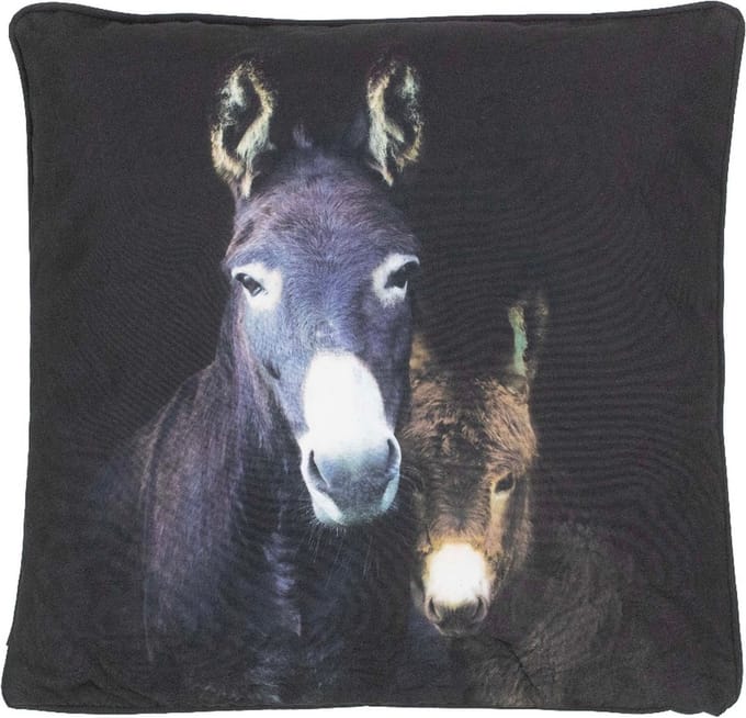 Mars & More Ezels outdoor buitenkussen 50x50cm