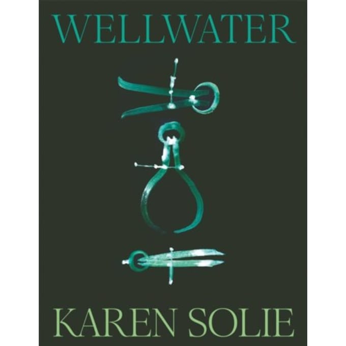 Wellwater - Karen Solie