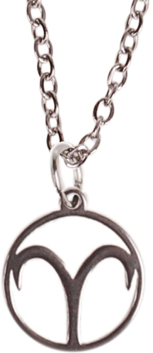 Ketting Zilverkleurig 55cm - Hangertje Sterrenbeeld RVS - Ram