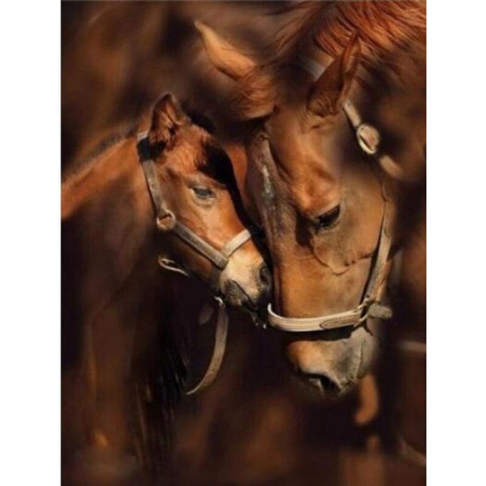 5D DIY Diamond Schilderen paard kruissteek Diamant Borduren Volledige Ronde boor 20X30CM brown
