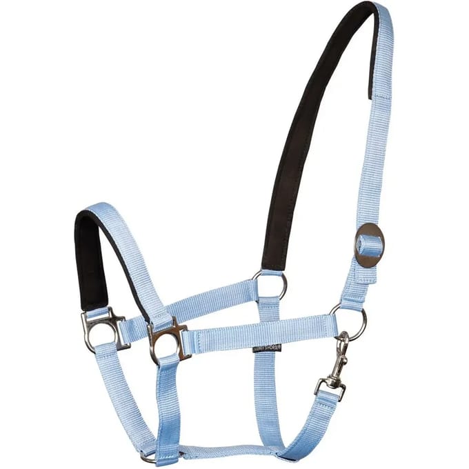 Gewatteerd paardenhalster Harry's Horse