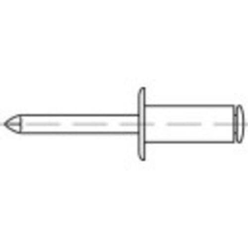 TOOLCRAFT 160001 Open popnagel (Ø x l) 4 mm x 16 mm RVS Staal 500 stuk(s)