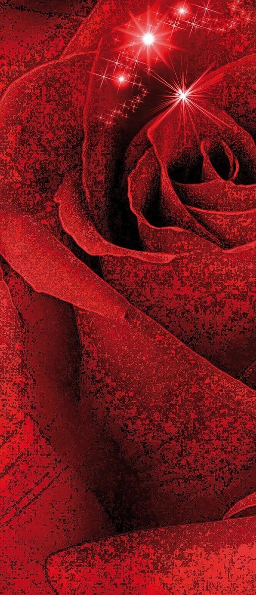 Flower Rose Abstract  Photo Wallcovering