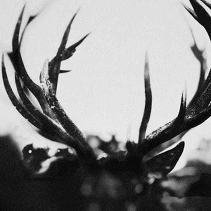 Ihsahn - Ihsahn (4 LP) (Limited Edition) (Coloured Vinyl)