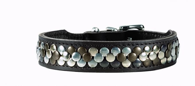 Hunter Halsband Arizona Bruin - Hondenhalsband - S/M 38-43.5x3.0 Cm