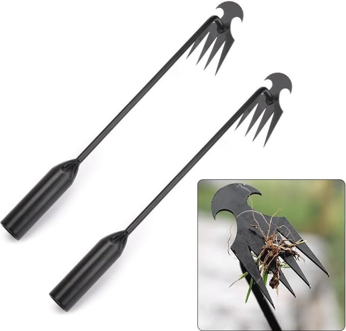 Solidchoice - Roestvrijstalen Onkruidsteker 40 cm Tuingereedschap Set van 2