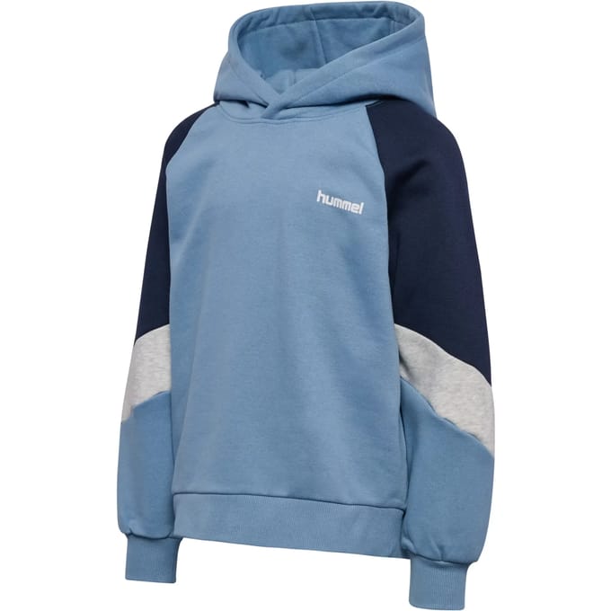 hmlJR LOOSE BLOCKED HOODIE