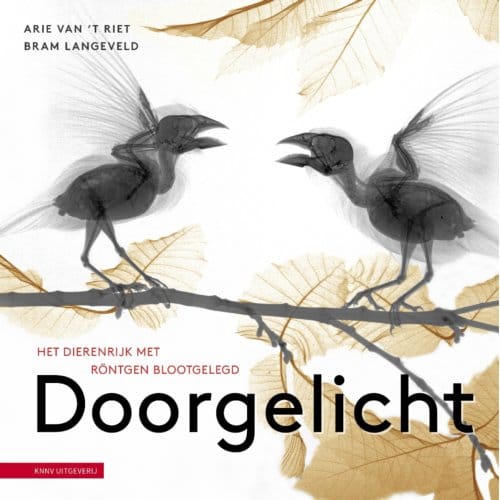 Doorgelicht - Bram Langeveld