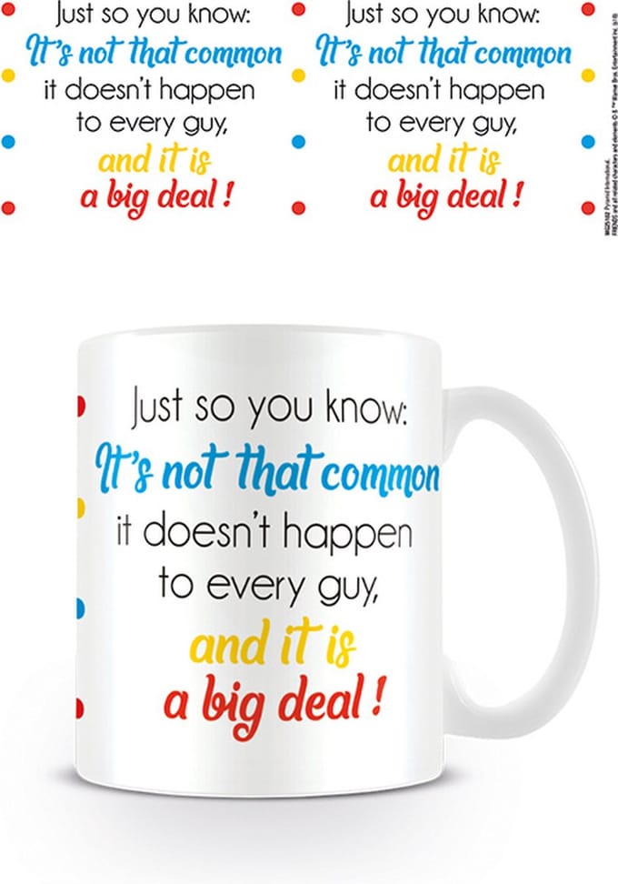 Friends - It is a Big Deal - Mok