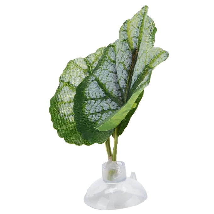 Betta Blad Hangmat Groen Aquarium Ornamentale Betta Rustplaats Paaibed Vissenkom Benodigdheden gray