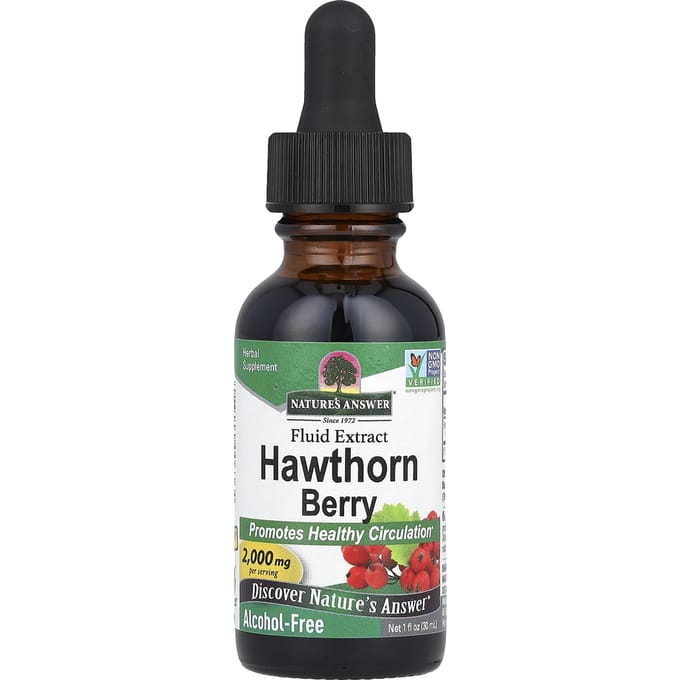 Nature's Answer, Meidoornbes, Vloeibaar Extract, Alcoholvrij, 2.000 mg, 30 ml(1 fl oz)