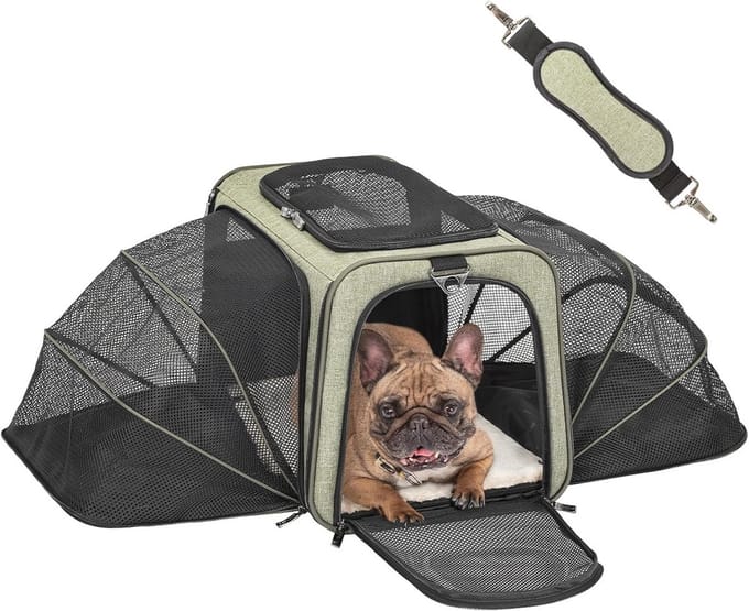 Omgoods - Vouwbare Transporttas voor Katten en Honden, Uitbreidbaar