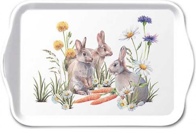Ambiente Tray Carrot treat 13x21cm