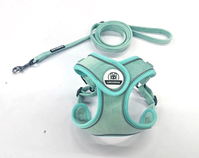 Cavlicious® X-TRA hondentuigje en leiband set - middelgrote hond - fluweel - turquoise - L