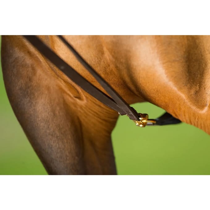 Duitse leren paardenteugels HFI
