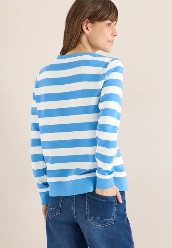 Gestreept sweatshirt