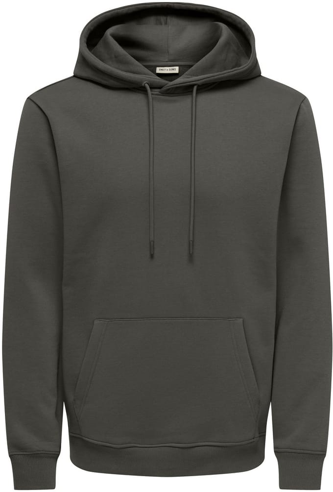 ONLY&SONS - ONSCONNOR LIFE REG SWEAT HOODIE NOOS - Heren - Sweaters