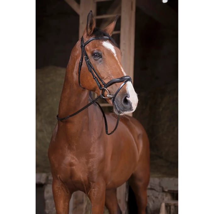 Teugels voor paarden Norton Pro Supergrip