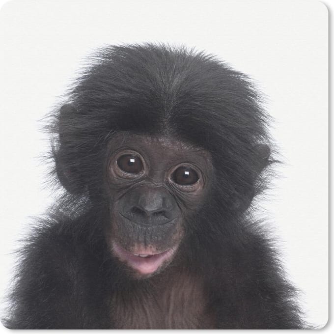 Muismat 20x20 cm - Mousepad Chimpansee - Dieren - Roze - Muismatten