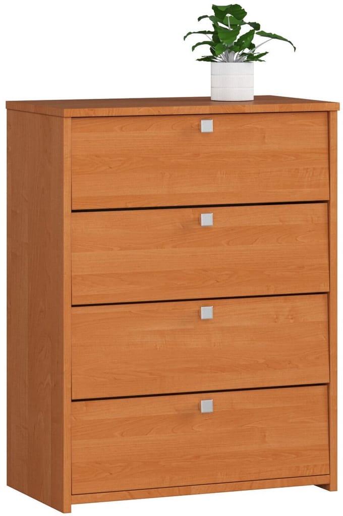 Vier Deurs Schoenkast 60cm - Klassiek Design in Olijfhoutlook