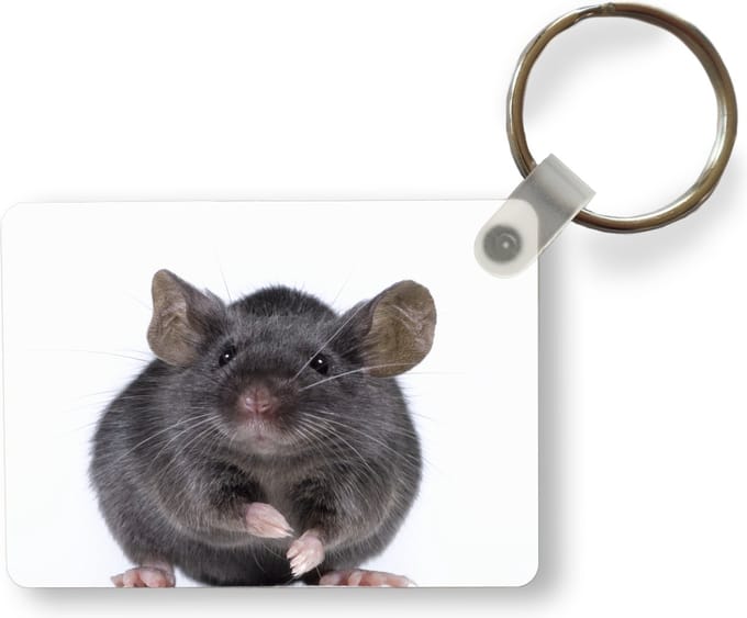 Sleutelhanger - Grijze muis - Uitdeelcadeautjes - Plastic