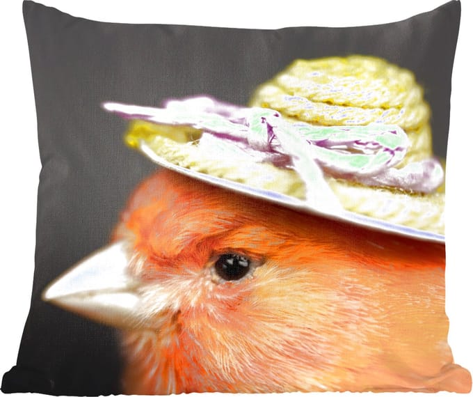 Sierkussens - Kussentjes Woonkamer - 60x60 cm - Vogel - Hoed - Oranje