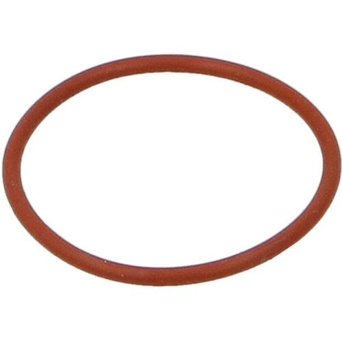 Afdichtring, remschoen DT SPARE PARTS 10.23170