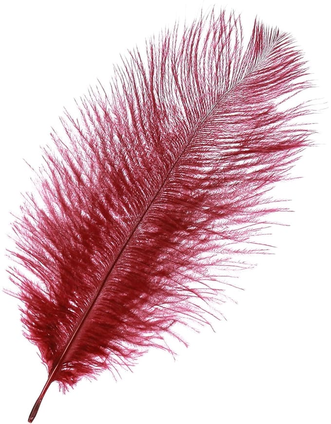 Struisvogelveren echte veren decoratie wijnrood 20-25cm 12 st, 12 Stüc