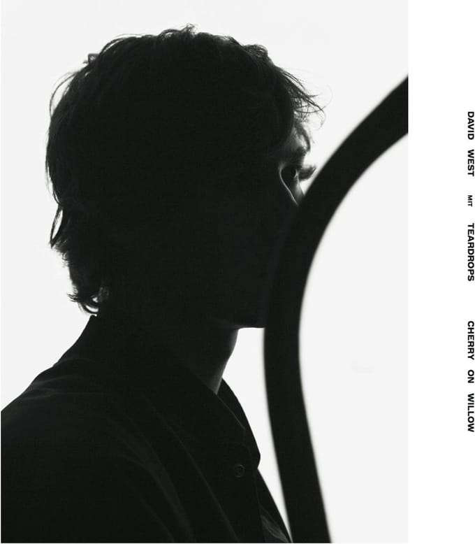 David West & Teardrops - Cherry On Willow (CD)