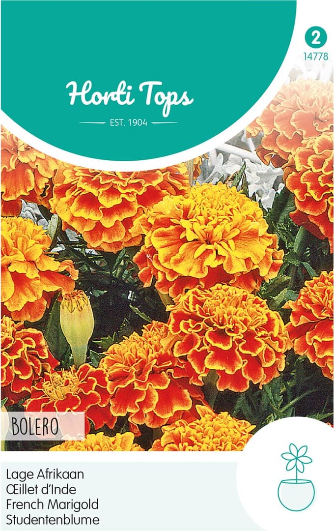 Hortitops Zaden - Tagetes Patula Nana Bolero