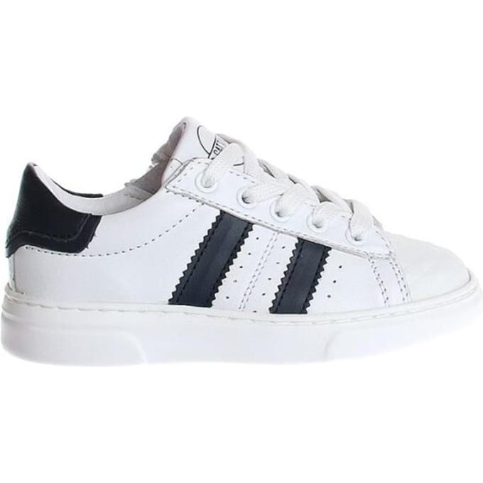 Gattino G1261