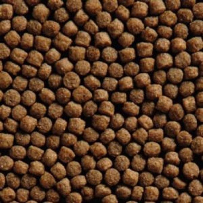 Vivani Grower 3mm 2kg