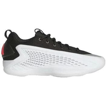Basketbalschoenen adidas A.E. 1 Low Best Of adi 2.0