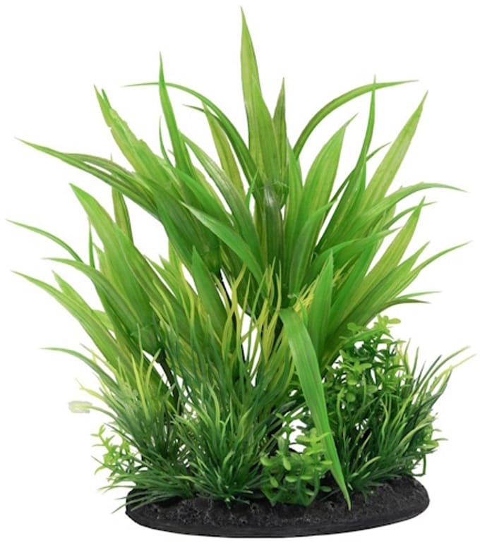 SuperFish Deco Plant S NR. 6