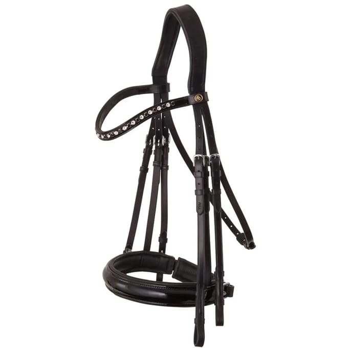 Anatomische hoofdstellen BR Equitation Wendover
