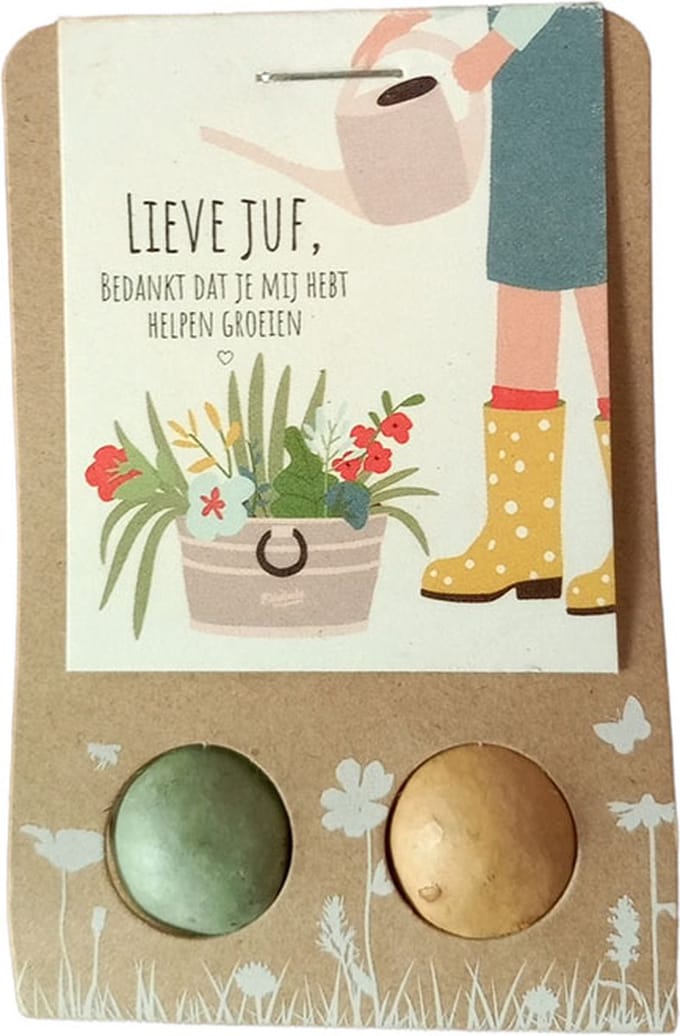 Floz Design bedankje juf - afscheid juf - groen cadeau juf - 2 zaadbommetjes - groen & eco